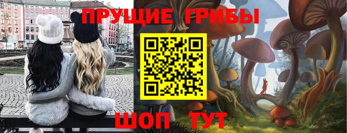 Галлюциногенные грибы GOLDEN TEACHER  Вход с VPN  Кстово 